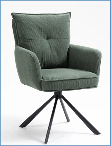 Chaises de salon des fauteuils